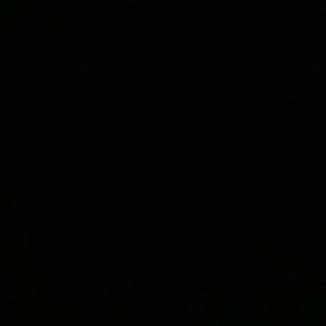 Meet your Posher, Lily